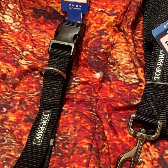 Cute Female Dog Birthday Set - Picture 3 of 8